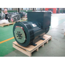 250kVA Godlike Brushless DC24V Brushless Alternator